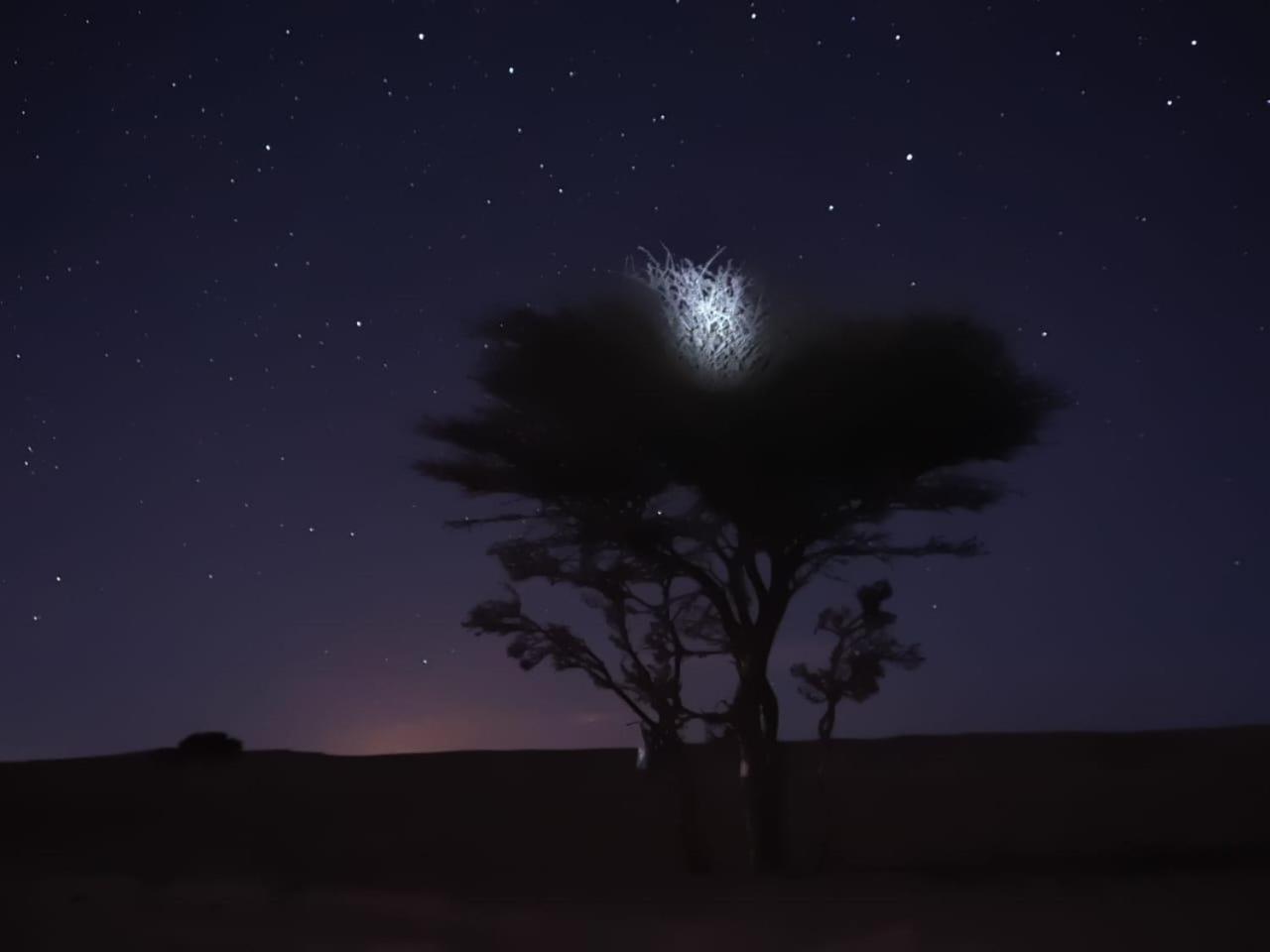 Tuareg Luxury Camp Hotel Merzouga Exterior foto